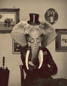 elephant-room